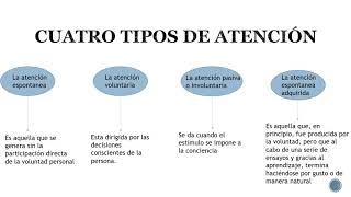 La atención procesos cognitivos básicos [upl. by Gustafsson]