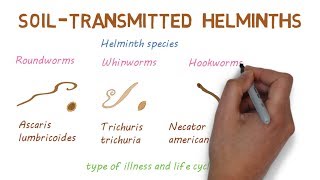 Deadly Worms – A look at Soil Transmitted Helminths [upl. by Huber53]