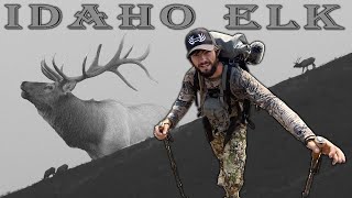 FIRST TIME Public Land Idaho Archery Elk Hunt  Our Experience [upl. by Jonathon947]