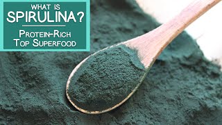 What is Spirulina A Proteinrich Top Superfood Algae [upl. by Tabshey200]