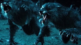 Top 10 Werewolf Movies REDUX [upl. by Nahta24]