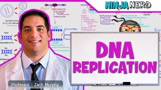 Cell Biology  DNA Replication 🧬 [upl. by Bibi]