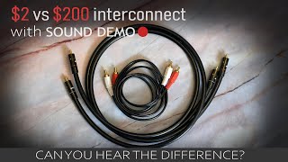 Cheap vs Expensive Interconnect Cable with SOUND DEMO [upl. by Ahsinrats650]