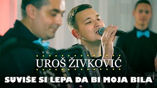 Uros Zivkovic  Suvise si lepa da bi moja bila orkestar Gorana Todorovica [upl. by Enialehs]