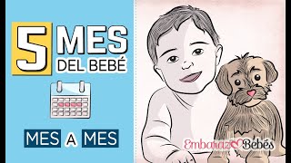 📆👶🏻 QUINTO MES del bebé  5 MES  Desarrollo y cuidados [upl. by Nylrak]