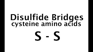 Disulfide bonds 5 [upl. by Erving]