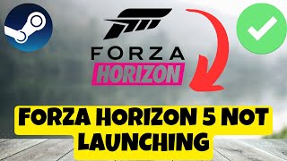 Steam – How to Fix Forza Horizon FH5 Not Launching Problem Windows 11  10 [upl. by Waxler]