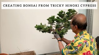 Creating Bonsai from A Tricky Hinoki Cypress [upl. by Poppas]