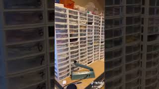 Bead Organization Sterilite 3Drawer Container OVERLOAD [upl. by Anauqaj340]