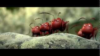 Minuscule Valley of the Lost Ants  The Sugar Box Excerpt [upl. by Kragh]