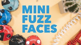 Why Dunlop Mini Fuzz Faces Are Awesome [upl. by Atiuqehc]