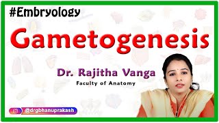 Gametogenesis  Introduction to Embryology [upl. by Lachman]