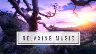 Relaxing Music Manifesting Happiness Harmony amp Inner Peace  Dissolve Negative Thoughts amp Emotions [upl. by Jewett623]