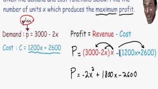 Optimization  Maximum Profit [upl. by Neelyam899]