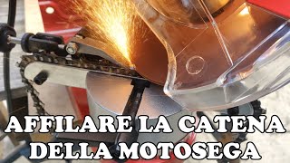 Come affilare la catena della motosega [upl. by Milton302]