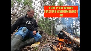 A Day In The Woods Eastern Newfoundland 4K [upl. by Carol-Jean189]