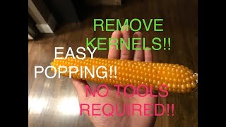 HOW TO Homegrown Popcorn Cob Kernel Removal EASY NO TOOLS REQUIRED [upl. by Odeen331]