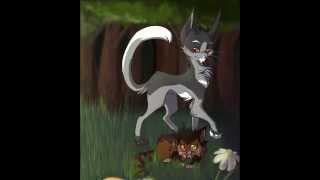 The 10 Most Evil Warrior Cats [upl. by Hadik]