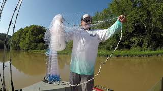 Super Easy Throwing Large Cast Nets [upl. by Ludmilla]