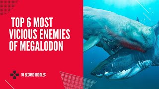 Top 6 most vicious enemies of megalodon [upl. by Harmaning]