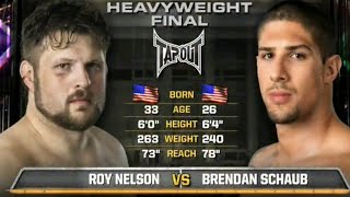 Roy Nelson vs Brendan Schaub TUF Season 10 Finale [upl. by Schiffman]