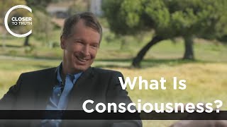 Donald Hoffman  What is Consciousness [upl. by Grady595]