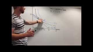 Explanation of Income and Substitution Effects [upl. by Agnimod542]