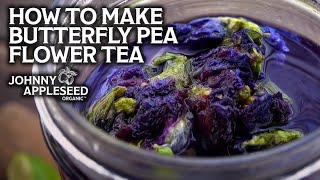 How to Make Butterfly Pea Flower Tea  Stunningly Beautiful Blue Tea [upl. by Allemat]