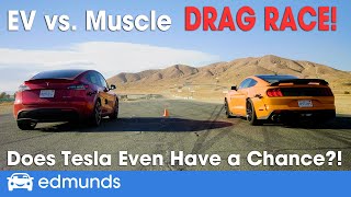 Drag Race Tesla Model Y vs Shelby GT500  EV vs Muscle  060 Performance amp More [upl. by Bucky]