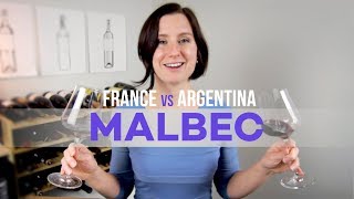 France vs Argentina Malbec Wine [upl. by Nylirem]