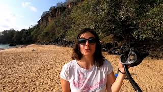 AMAZING Snorkeling experience in the Island Fernando de Noronha Brazil [upl. by Doggett751]