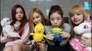 ENG SUB BLACKPINK VLIVE ROSÉ JISOO LISA AND JENNIE [upl. by Mita]