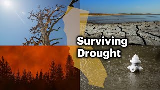 How Californias Droughts Lead to Other Disasters [upl. by Ayojal]