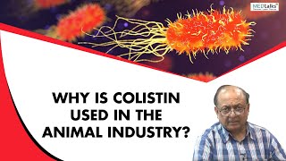 Dr Sunil Gupta  why is colistin used in animal industry [upl. by Uhp]