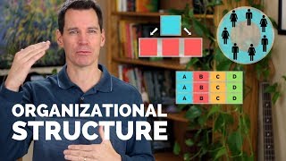 Organizational Structure [upl. by Nahgen]