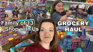 Family of 13 GROCERY SHOP amp HAUL  Large Family Vlog [upl. by Derron961]