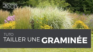 Tuto  Tailler une graminée [upl. by Vladamir]