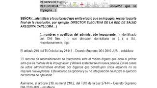 MODELO DE RECURSO ADMINISTRATIVO DE RECONSIDERACIÓN [upl. by Attenat380]