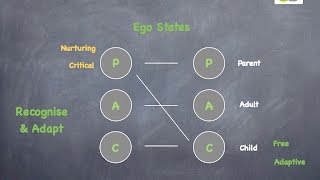 Bernes Transactional Analysis [upl. by Gulick]