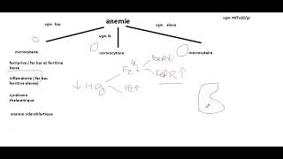 cours danémie partie 1 microcytaire [upl. by Narayan]