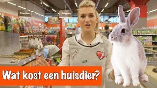 Wat kost een huisdier  DierenpraatTV [upl. by Tiler]