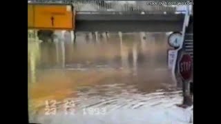 Hochwasser 1993 Überarbeitet [upl. by Anelrad183]