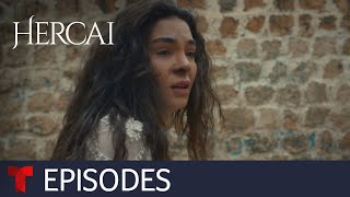 Hercai Amor y venganza  Episode 5  Telemundo English [upl. by Salomie360]