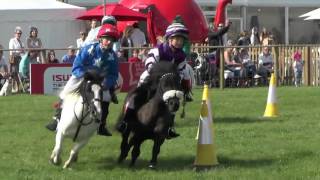 Shetland Pony Grand National [upl. by Clementis]